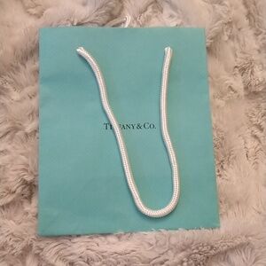 Tiffany & Co. Small Shopping Bag